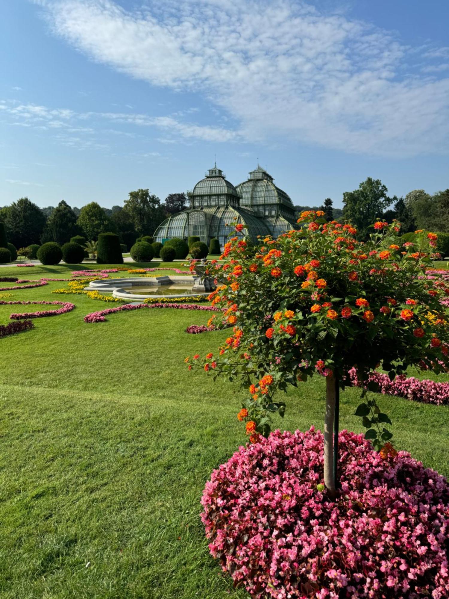 City Apartment Nahe Schoenbrunn 13 Вена Экстерьер фото